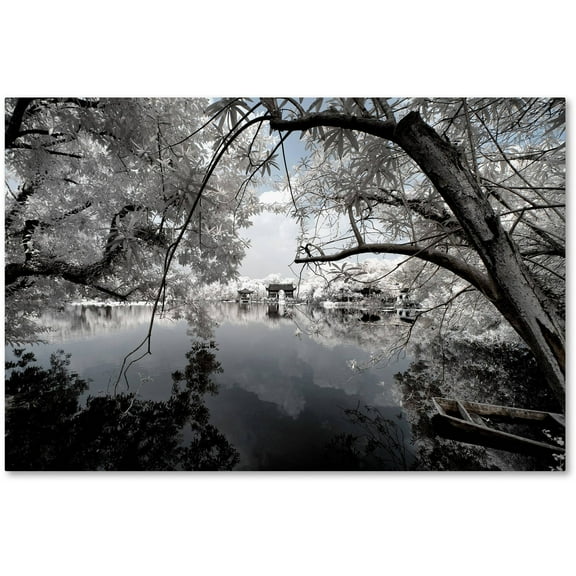 Trademark Fine Art "White Foliage" Canvas Art by Philippe Hugonnard