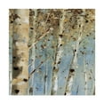 thumbnail image 1 of Trademark Fine Art 'White Forest 4' Canvas Art by Lisa Audit, 1 of 3