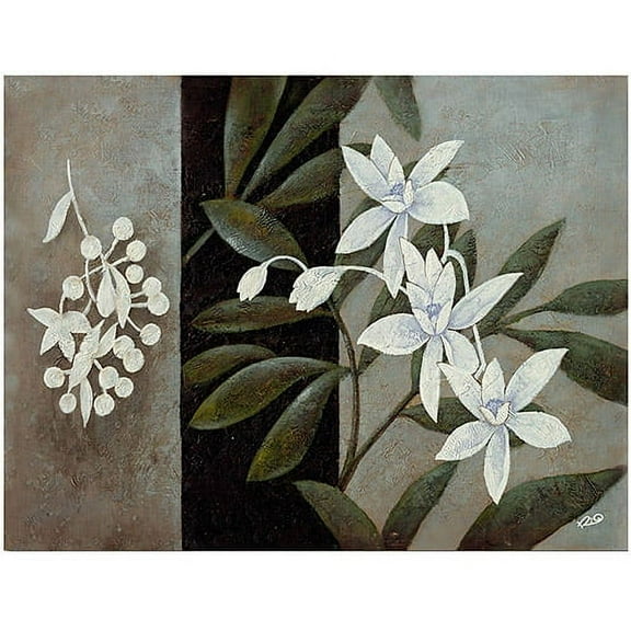 Trademark Fine Art "White Fresh" Canvas Wall Art by Rio