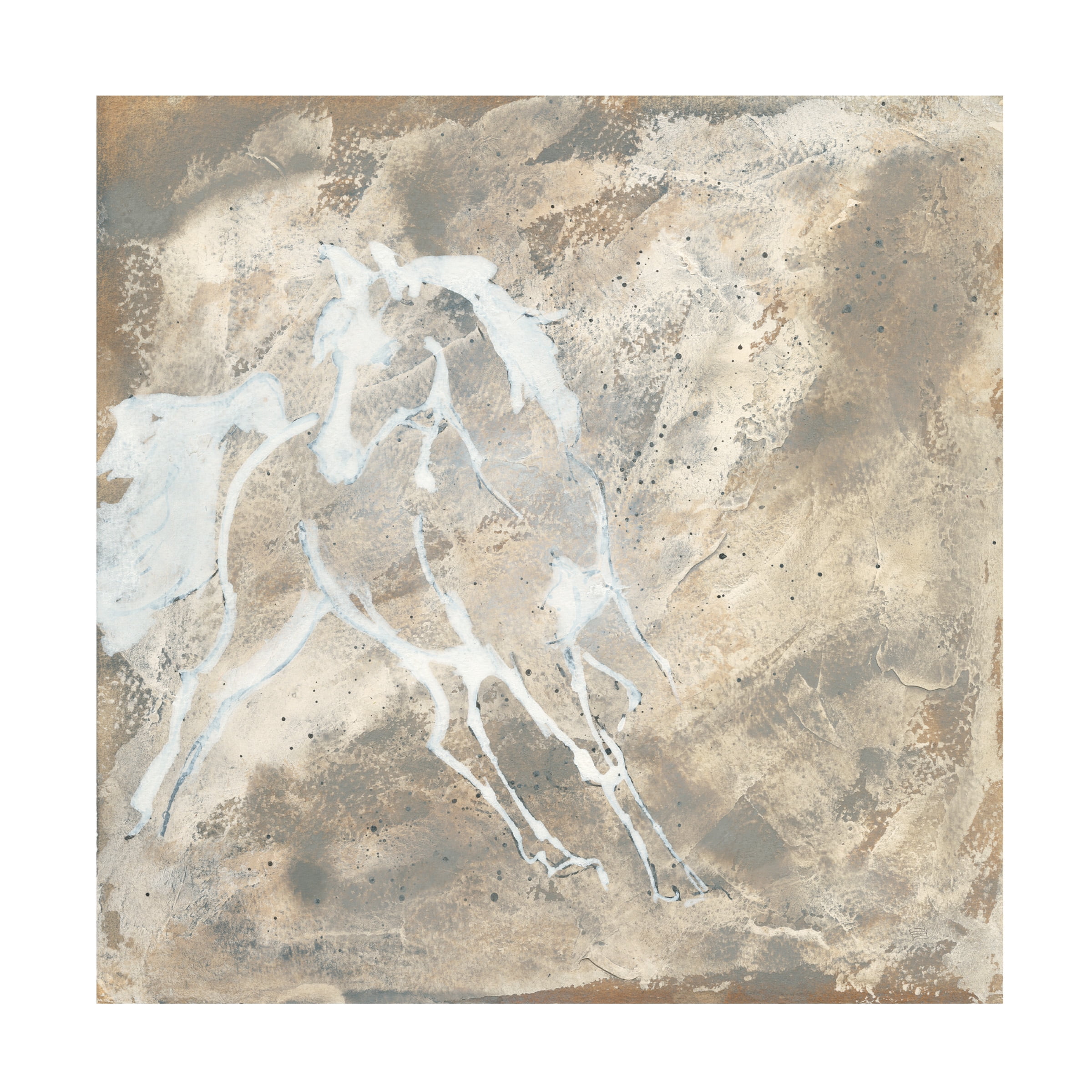 Trademark Fine Art 'White Horse I' Canvas Art by Chris Paschke