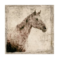 Trademark Fine Art 'White Horse I Illustration' Canvas Art by Irena Orlov