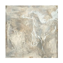 Trademark Fine Art 'White Horse II' Canvas Art by Chris Paschke