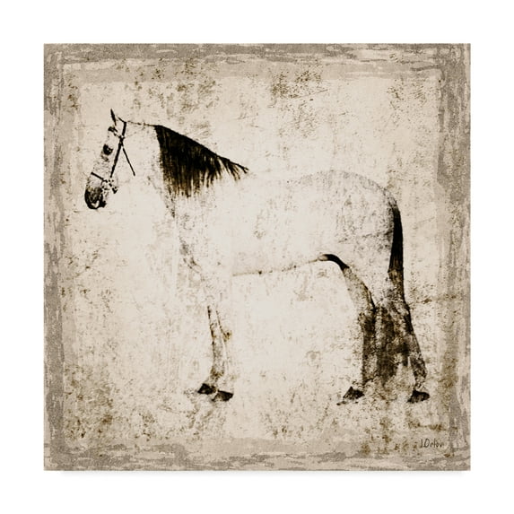 Trademark Fine Art 'White Horse Portrait II' Canvas Art by Irena Orlov