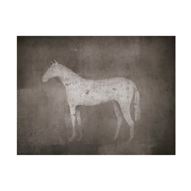 Trademark Fine Art 'White Horse on Grey' Canvas Art by Ryan Fowler