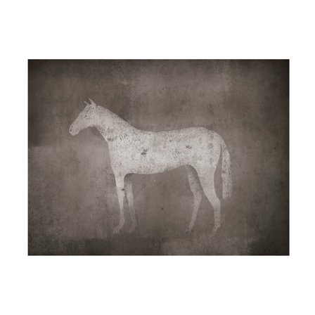 Trademark Fine Art 'White Horse on Grey' Canvas Art by Ryan Fowler