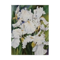 Trademark Fine Art 'White Iris' Canvas Art by Joanne Porter