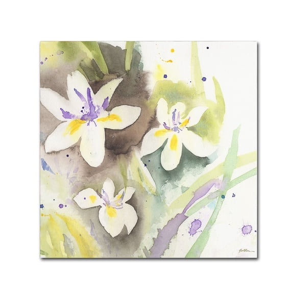 Trademark Fine Art "White Iris" Canvas Art by Sheila Golden