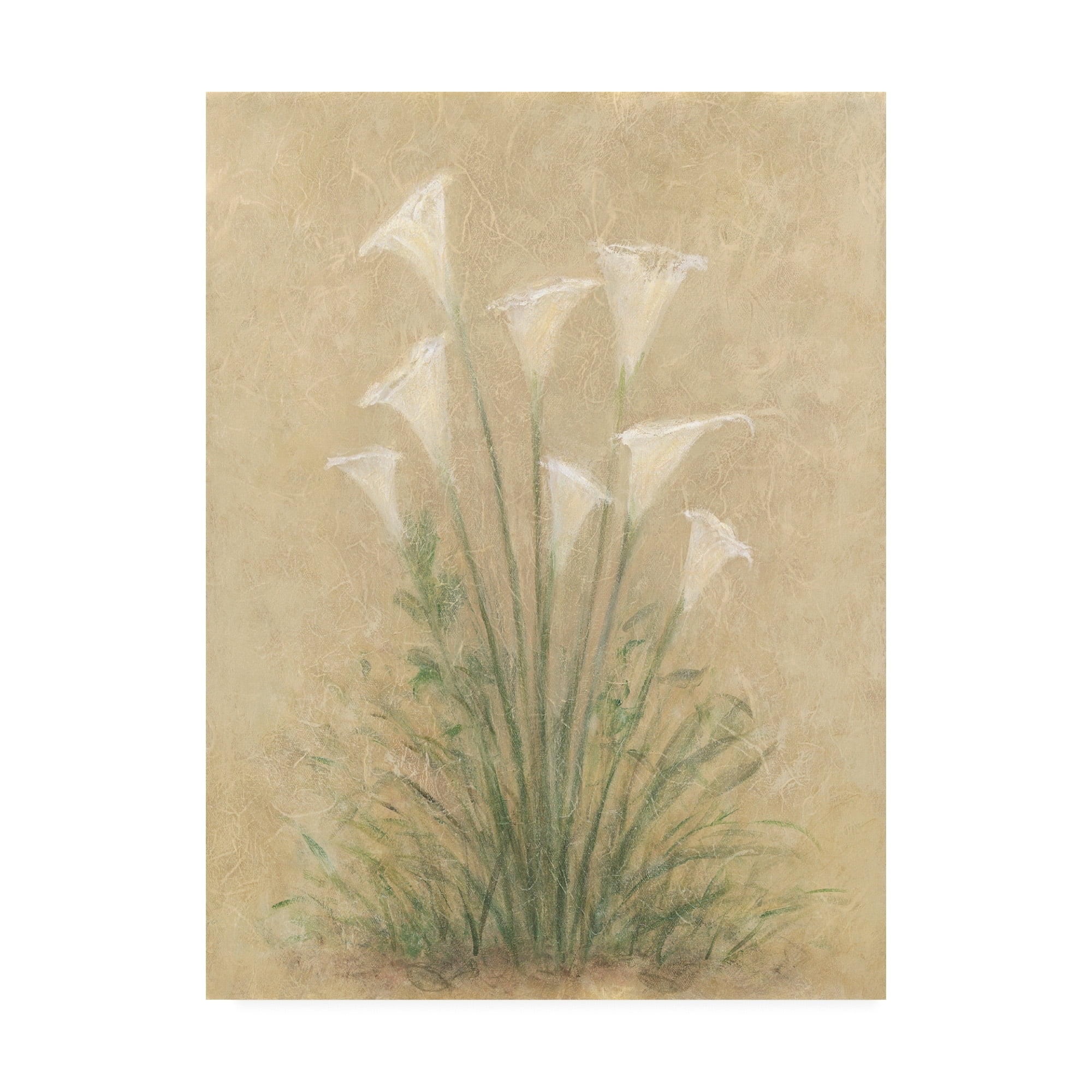 Trademark Fine Art 'White Lilies On Parchment' Canvas Art by Debra Lake