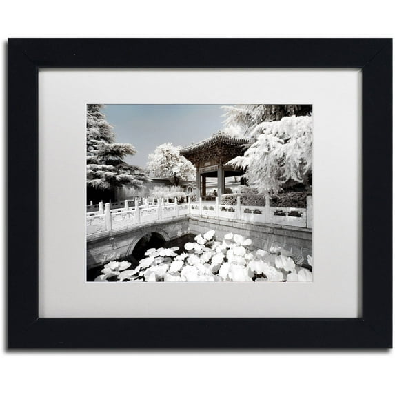 Trademark Fine Art "White Lotus" Canvas Art by Philippe Hugonnard, White Matte, Black Frame