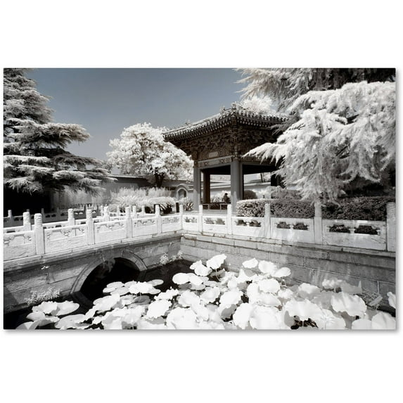 Trademark Fine Art "White Lotus" Canvas Art by Philippe Hugonnard