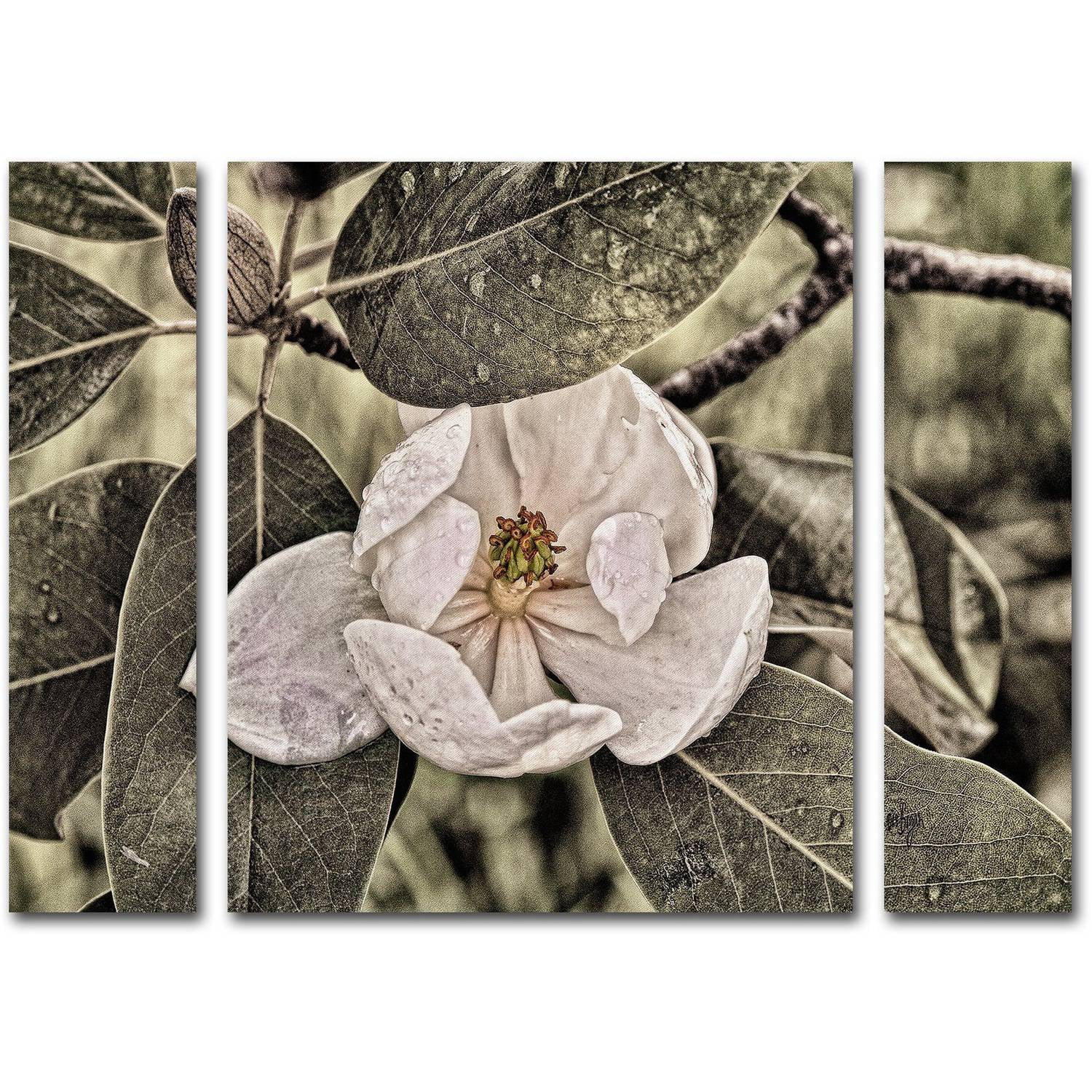 Trademark Fine Art ''White Magnolia'' by Lois Bryan 30" x 41" Multi Panel Art Set Large (886511916821)