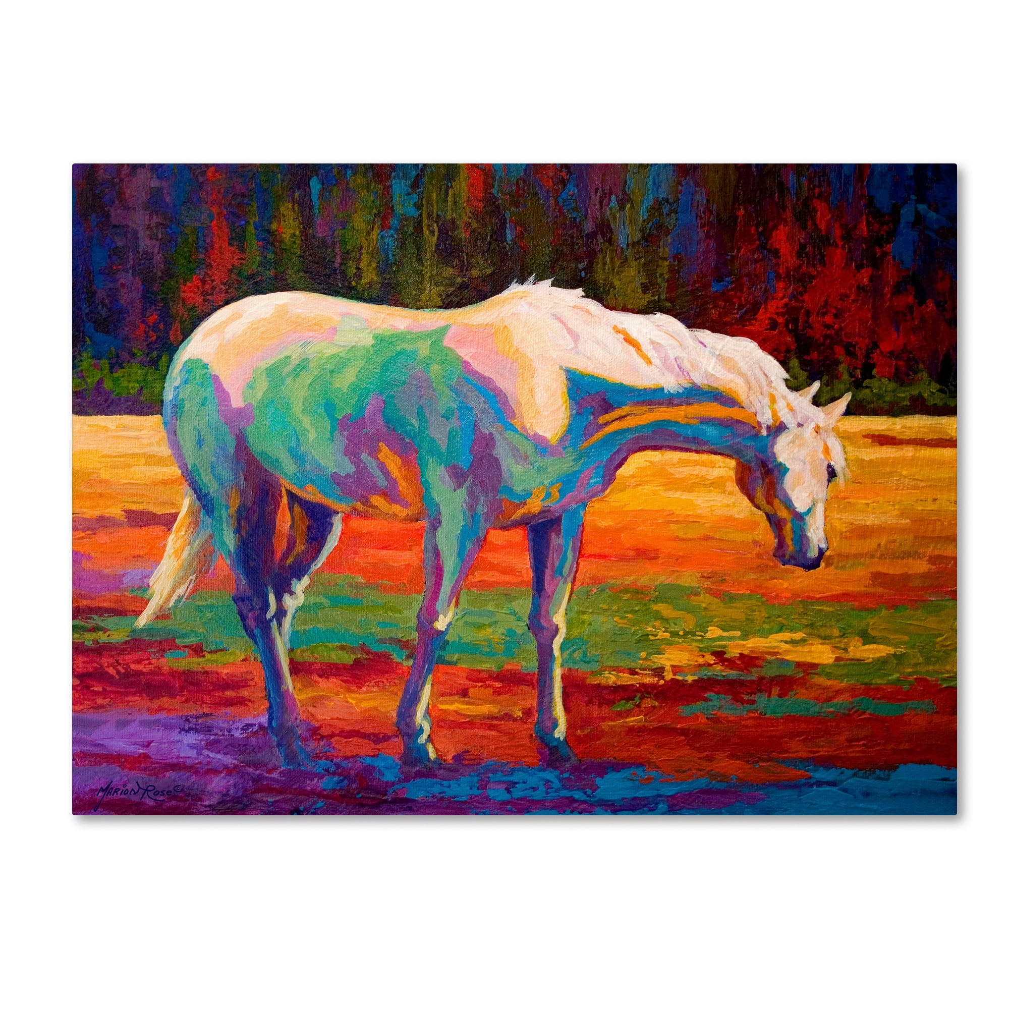 Trademark Fine Art 'White MareII' Canvas Art by Marion Rose