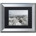 thumbnail image 1 of Trademark Fine Art "White Nature" Canvas Art by Philippe Hugonnard, Black Matte, Silver Frame, 1 of 1