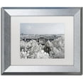 thumbnail image 1 of Trademark Fine Art "White Nature" Canvas Art by Philippe Hugonnard, White Matte, Silver Frame, 1 of 4