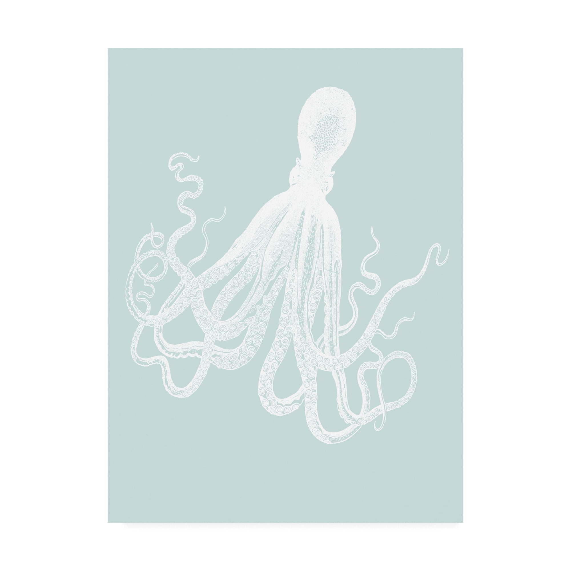 Trademark Fine Art 'White Octopus on Seafoam e' Canvas Art by Fab Funky