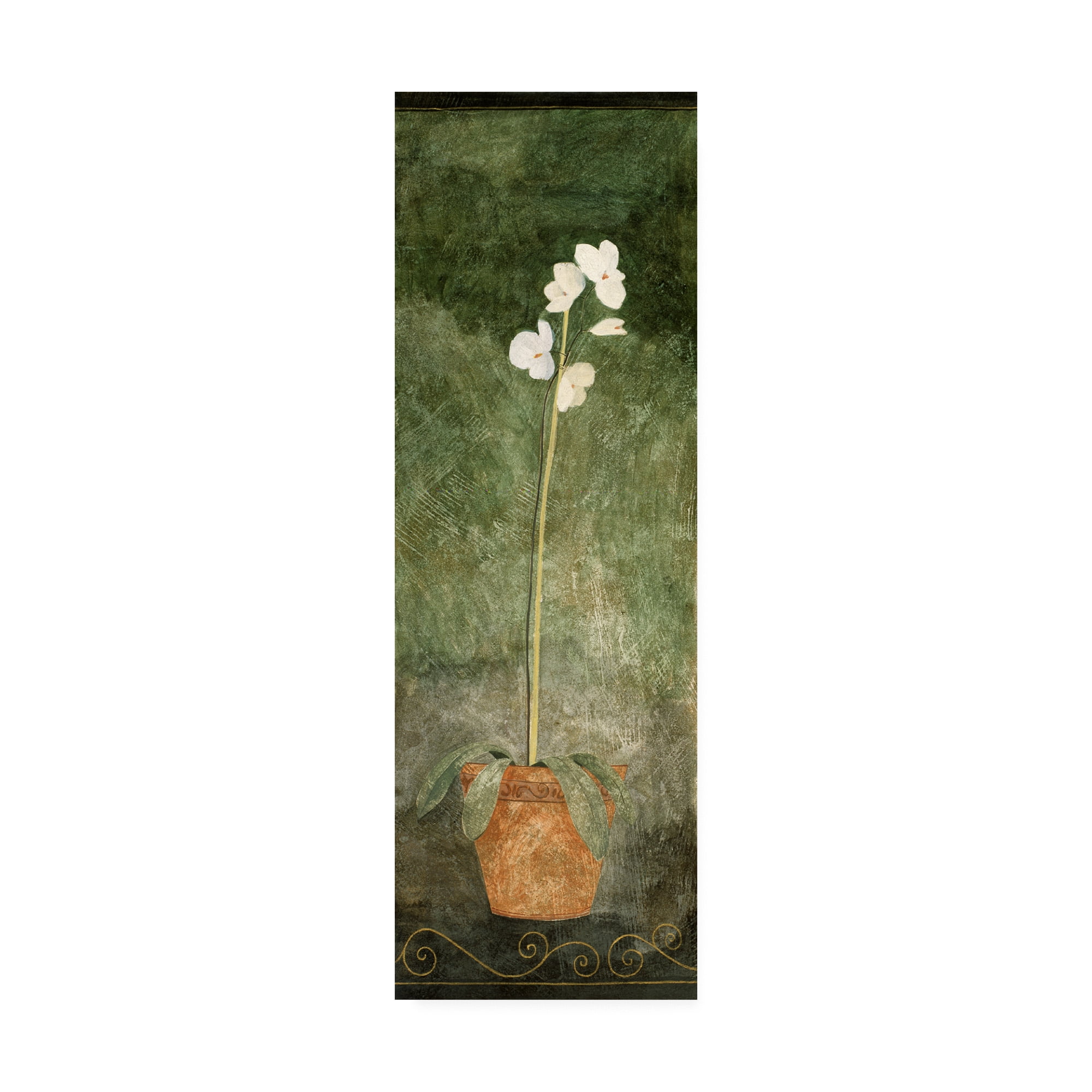 Trademark Fine Art 'White Orchid In Pot On Green' Canvas Art by Pablo Esteban