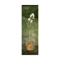 thumbnail image 1 of Trademark Fine Art 'White Orchid In Pot On Green' Canvas Art by Pablo Esteban, 1 of 3