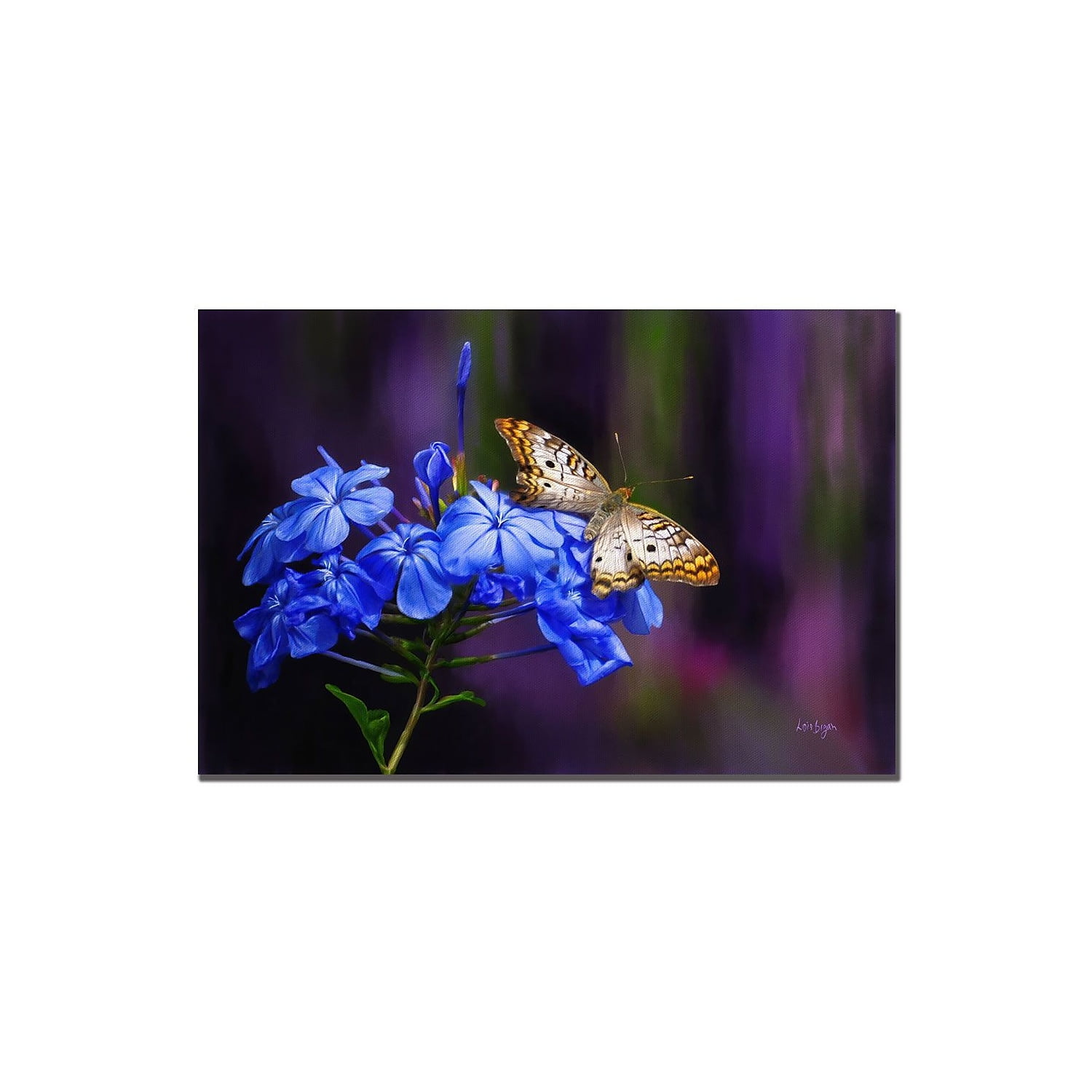 White Peacock Canvas Art with Wooden Frame, 14x19-Inch