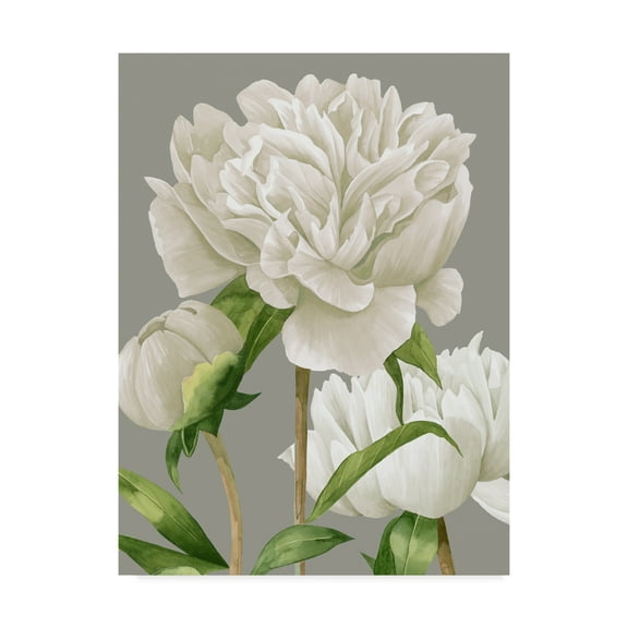Trademark Fine Art 'White Peonies II' Canvas Art by Grace Popp