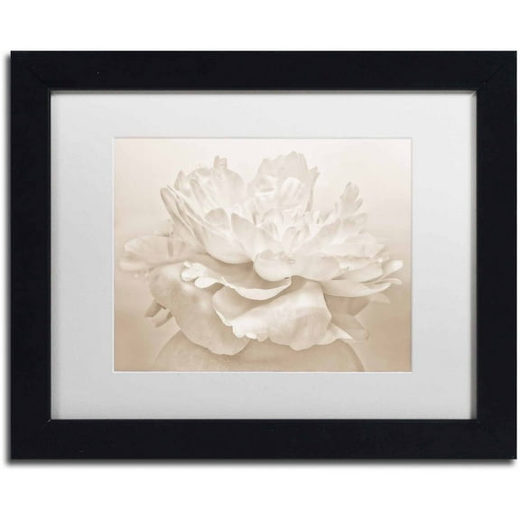Trademark Fine Art 'White Peony' Canvas Art by Cora Niele, White Matte, Black Frame