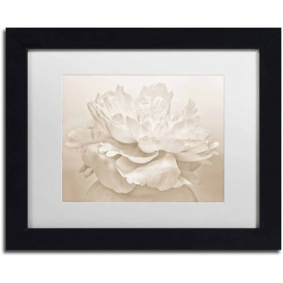 Trademark Fine Art 'White Peony' Canvas Art by Cora Niele, White Matte, Black Frame