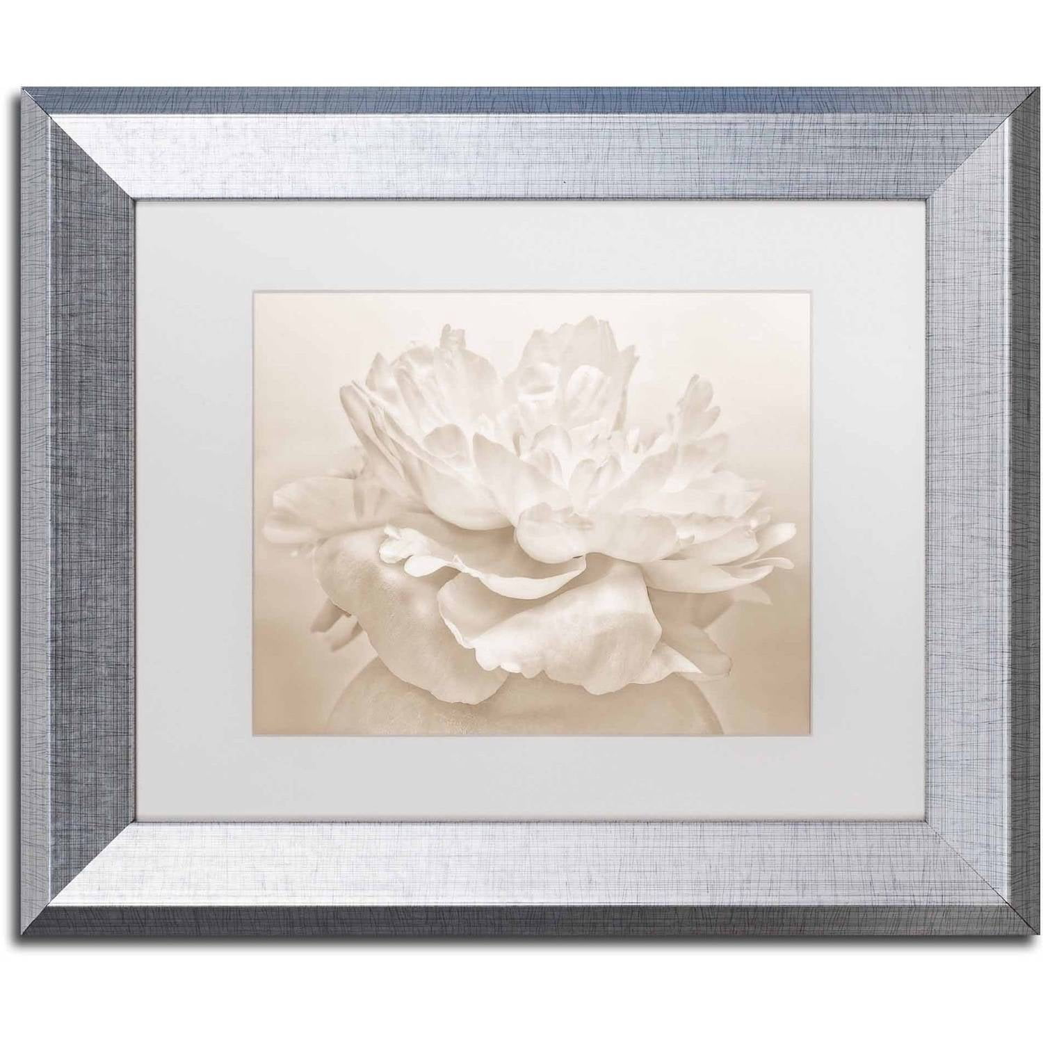 Trademark Fine Art 'White Peony' Canvas Art by Cora Niele, White Matte, Silver Frame