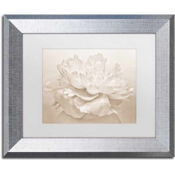 Trademark Fine Art 'White Peony' Canvas Art by Cora Niele, White Matte, Silver Frame