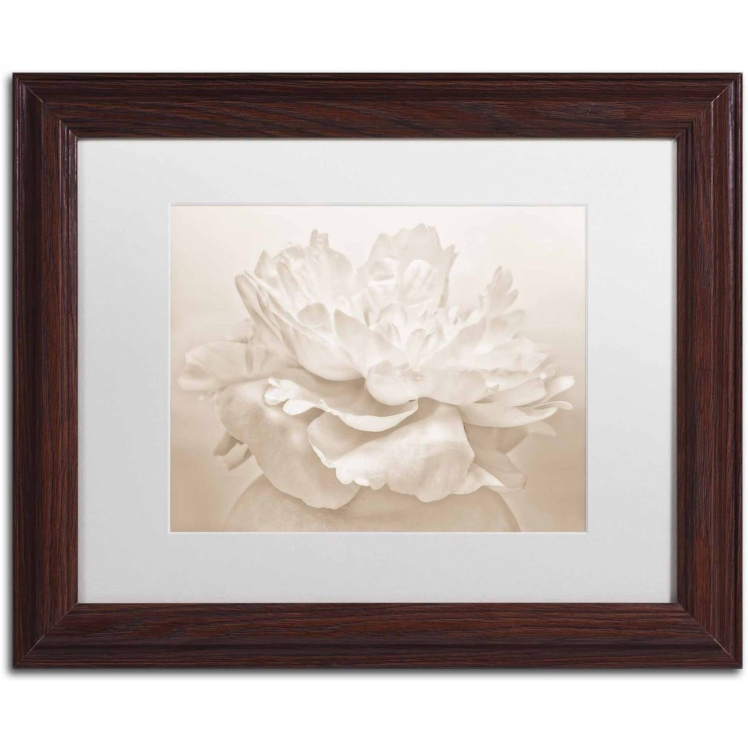 Trademark Fine Art 'White Peony' Canvas Art by Cora Niele, White Matte, Wood Frame