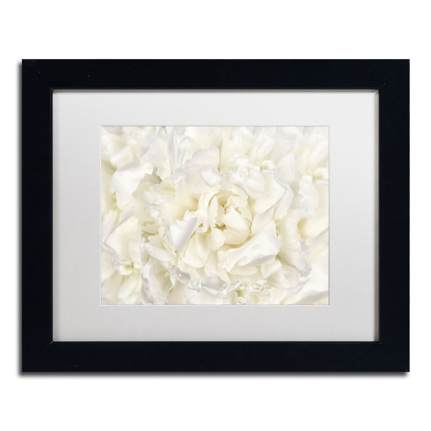 Trademark Fine Art 'White Peony Flower' Canvas Art by Cora Niele, White Matte, Black Frame