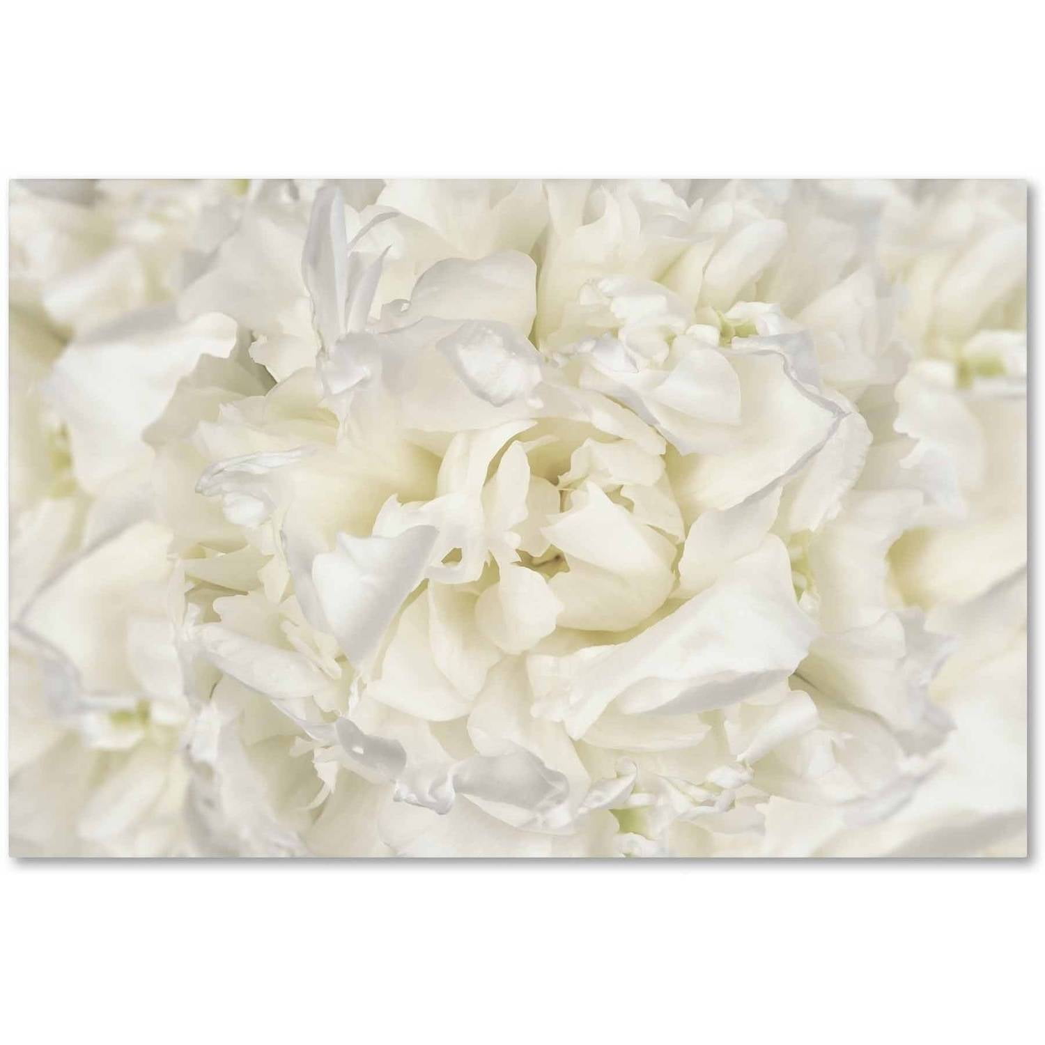 White Peony Flower Abstract Canvas Art in Frame