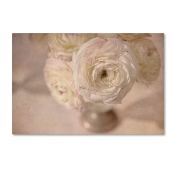 Trademark Fine Art 'White Persian Buttercup Still Life' Canvas Art by Cora Niele
