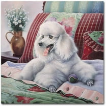 Trademark Fine Art Jenny Newland White Poodle Canvas Wall Art - 14x14