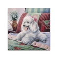 thumbnail image 1 of Trademark Fine Art 'White Poodle' Canvas Art by Jenny Newland, 1 of 3