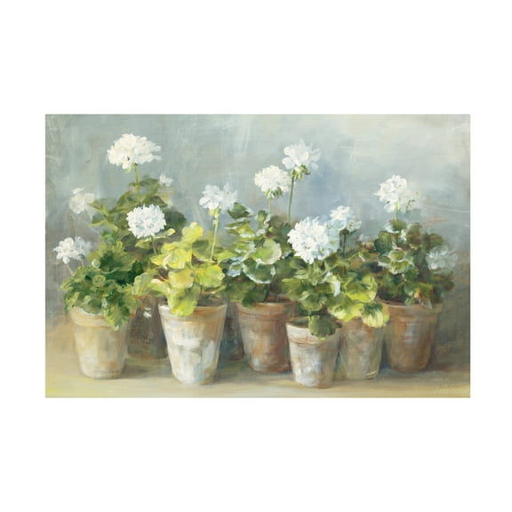 Trademark Fine Art 'White Potted Geraniums' Canvas Art by Danhui Nai