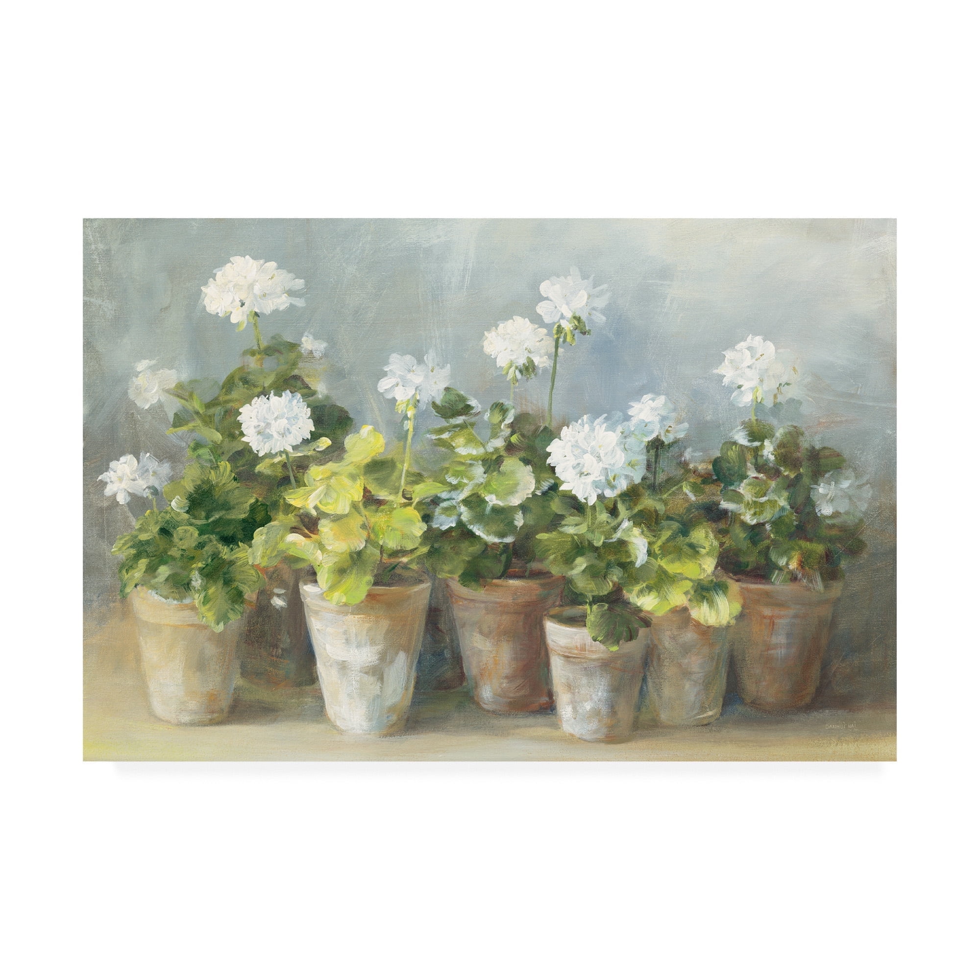 Trademark Fine Art 'White Potted Geraniums' Canvas Art by Danhui Nai