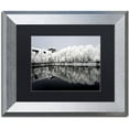 thumbnail image 1 of Trademark Fine Art "White Reflet" Canvas Art by Philippe Hugonnard, Black Matte, Silver Frame, 1 of 4