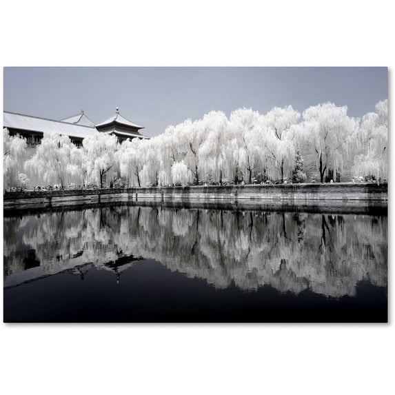 Trademark Fine Art "White Reflet" Canvas Art by Philippe Hugonnard