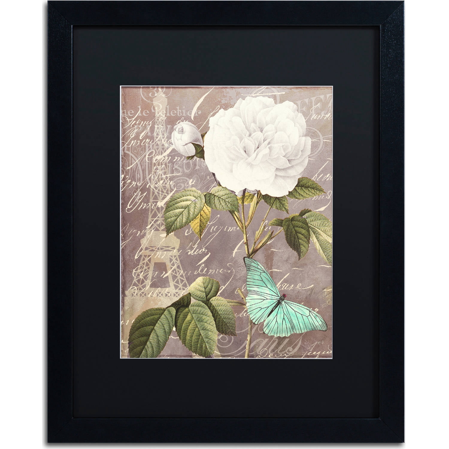 Trademark Fine Art "White Rose" Canvas Art by Color Bakery, Black Matte, Black Frame
