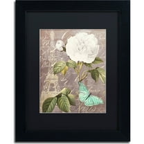 Trademark Fine Art "White Rose" Canvas Art by Color Bakery, Black Matte, Black Frame