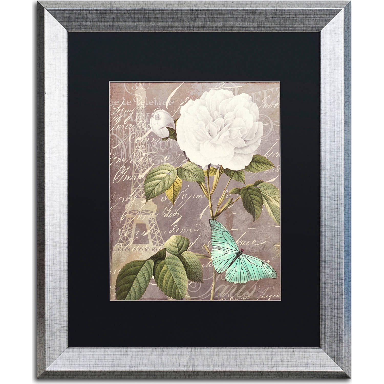 Trademark Fine Art "White Rose" Canvas Art by Color Bakery, Black Matte, Silver Frame