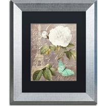 Trademark Fine Art "White Rose" Canvas Art by Color Bakery, Black Matte, Silver Frame