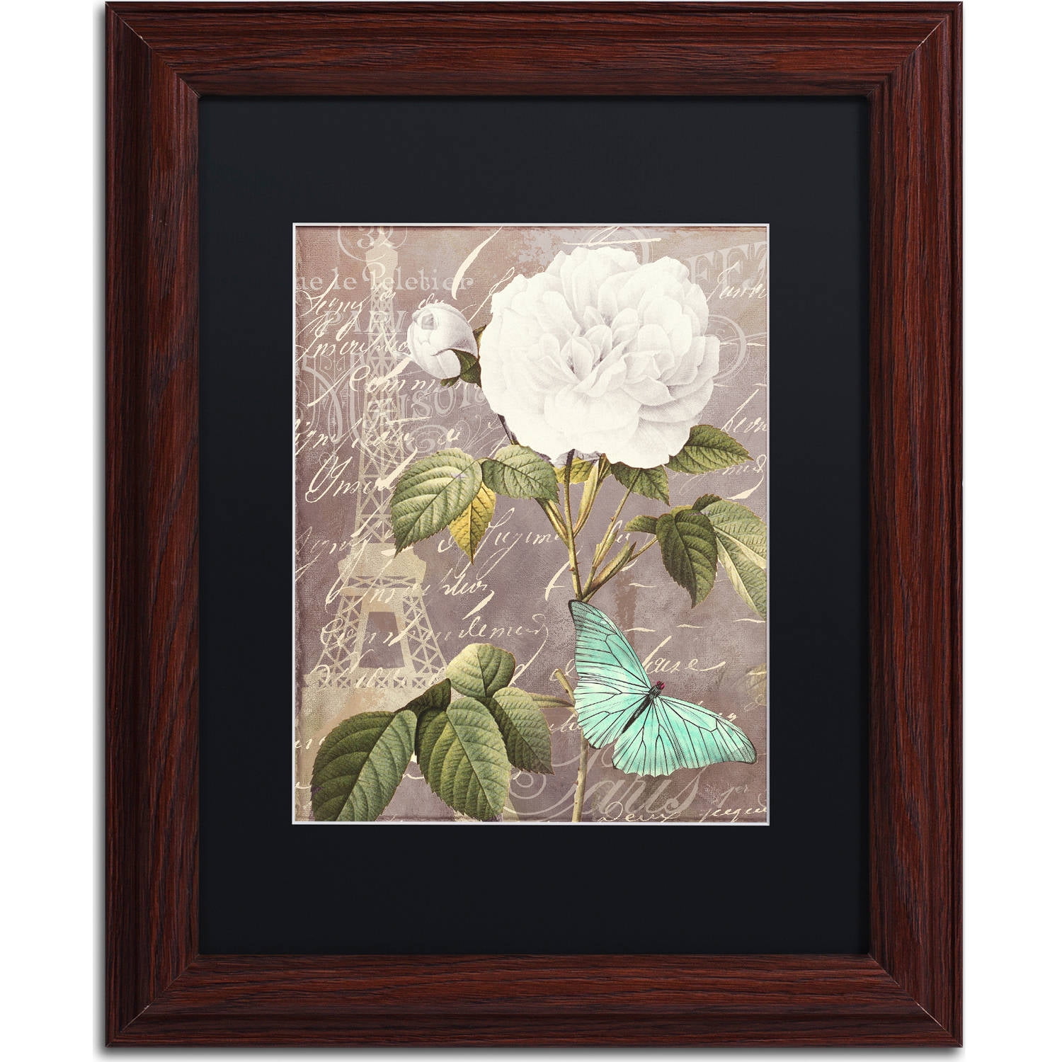Trademark Fine Art "White Rose" Canvas Art by Color Bakery, Black Matte, Wood Frame