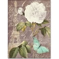 thumbnail image 1 of Trademark Fine Art "White Rose" Canvas Art by Color Bakery, 1 of 3