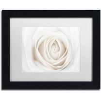 Trademark Fine Art 'White Rose' Canvas Art by Cora Niele, White Matte, Black Frame