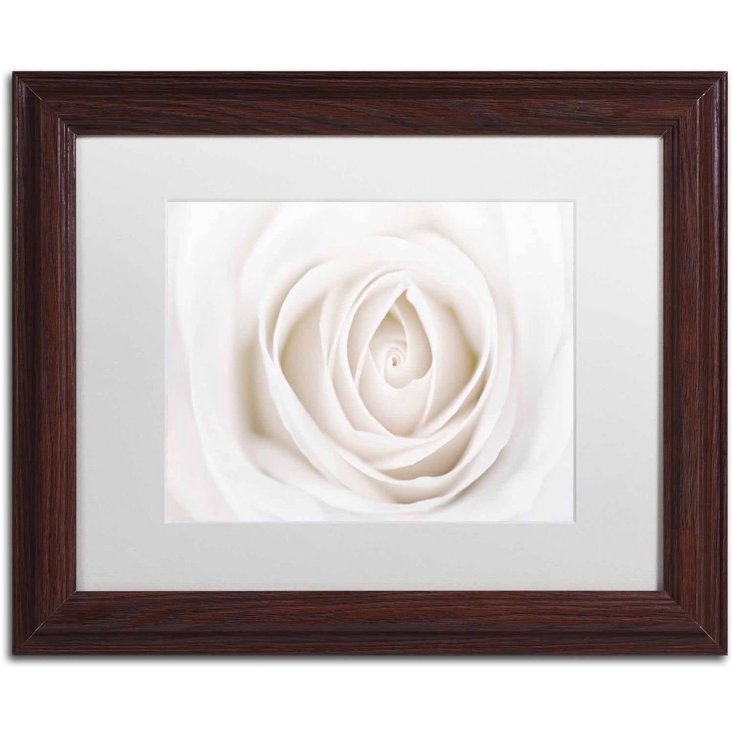 Trademark Fine Art 'White Rose' Canvas Art by Cora Niele, White Matte, Wood Frame