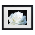 thumbnail image 1 of Trademark Fine Art 'White Rose II' Canvas Art by Kurt Shaffer, 1 of 4