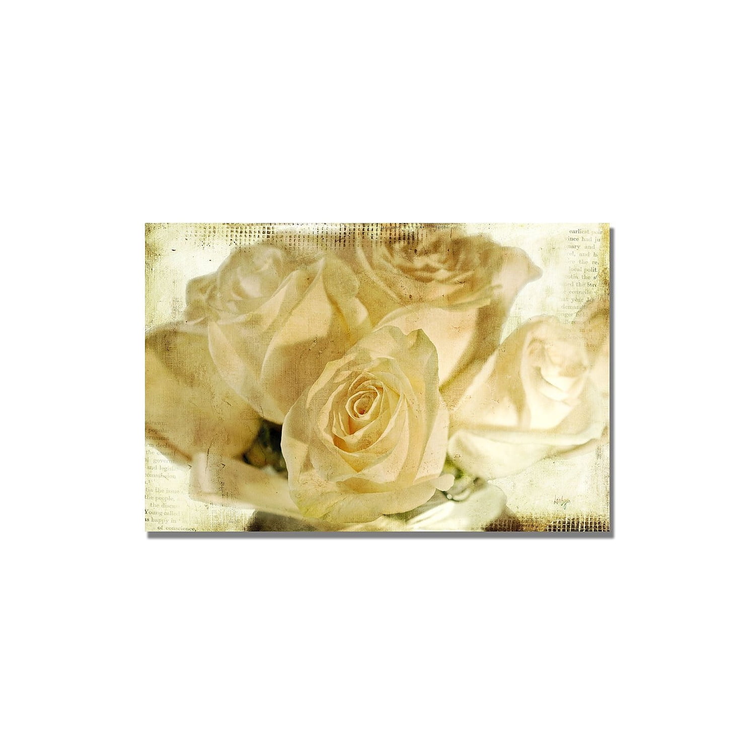 White Rose Giclee Print on Canvas with Wood Frame
