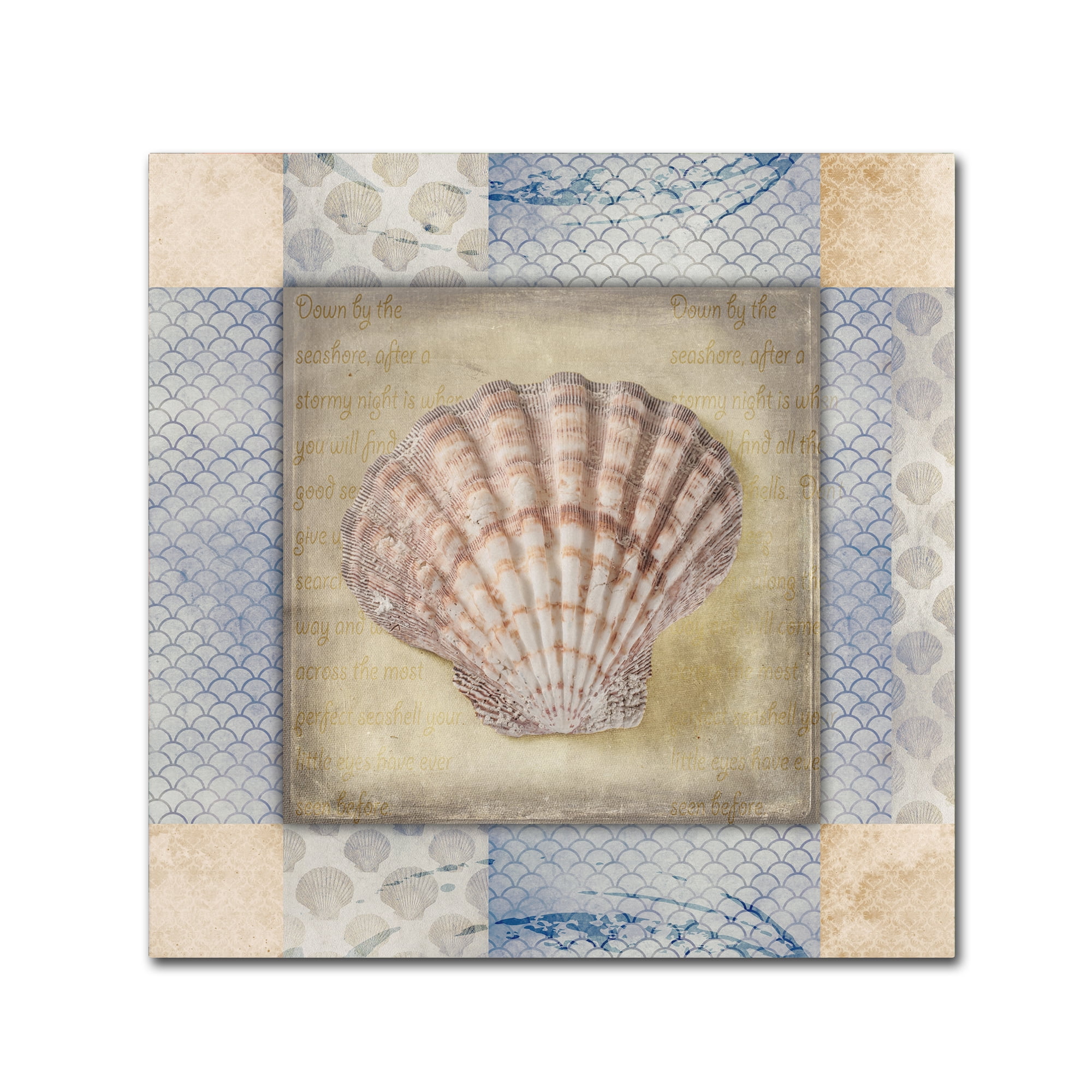 Trademark Fine Art 'White Sea Shell' Canvas Art by LightBoxJournal