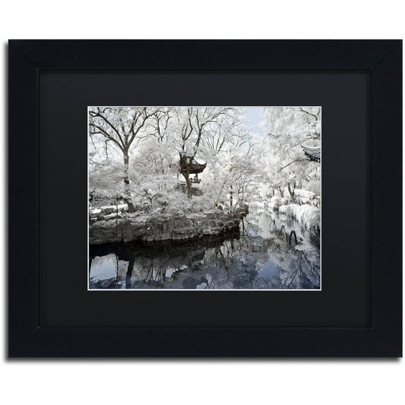 Trademark Fine Art "White Serenity" Canvas Art by Philippe Hugonnard, Black Matte, Black Frame