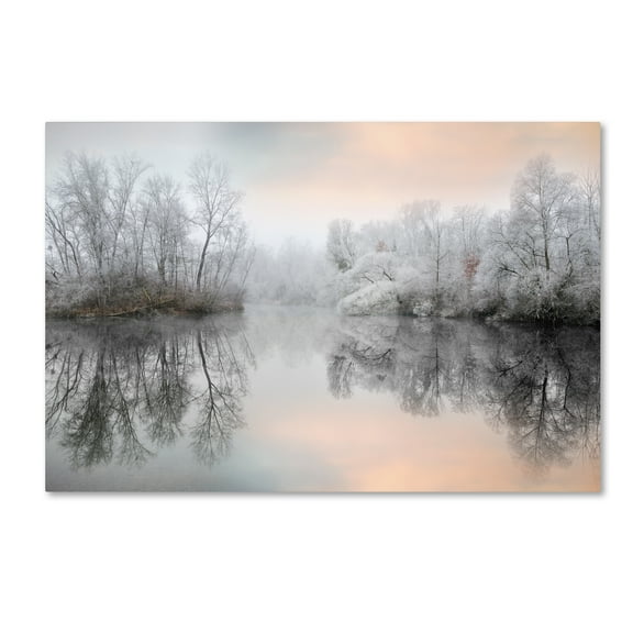 Trademark Fine Art 'White Silence' Canvas Art by Philippe Sainte-Laudy